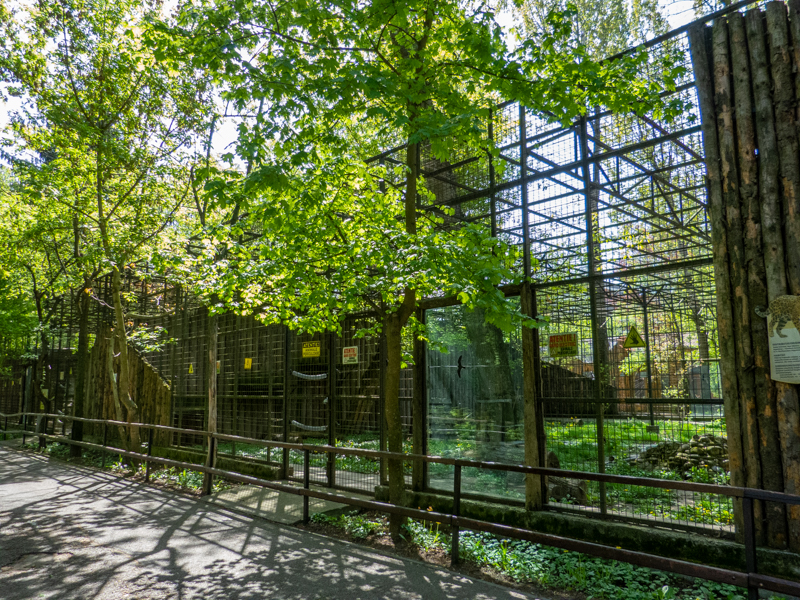 Jaguar enclosure No 1