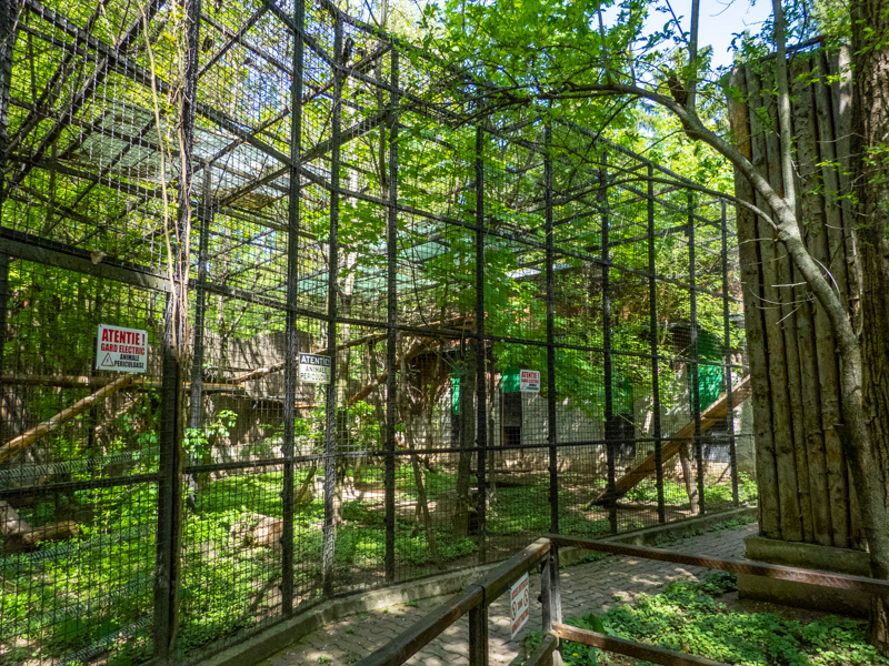 Jaguar enclosure No 2