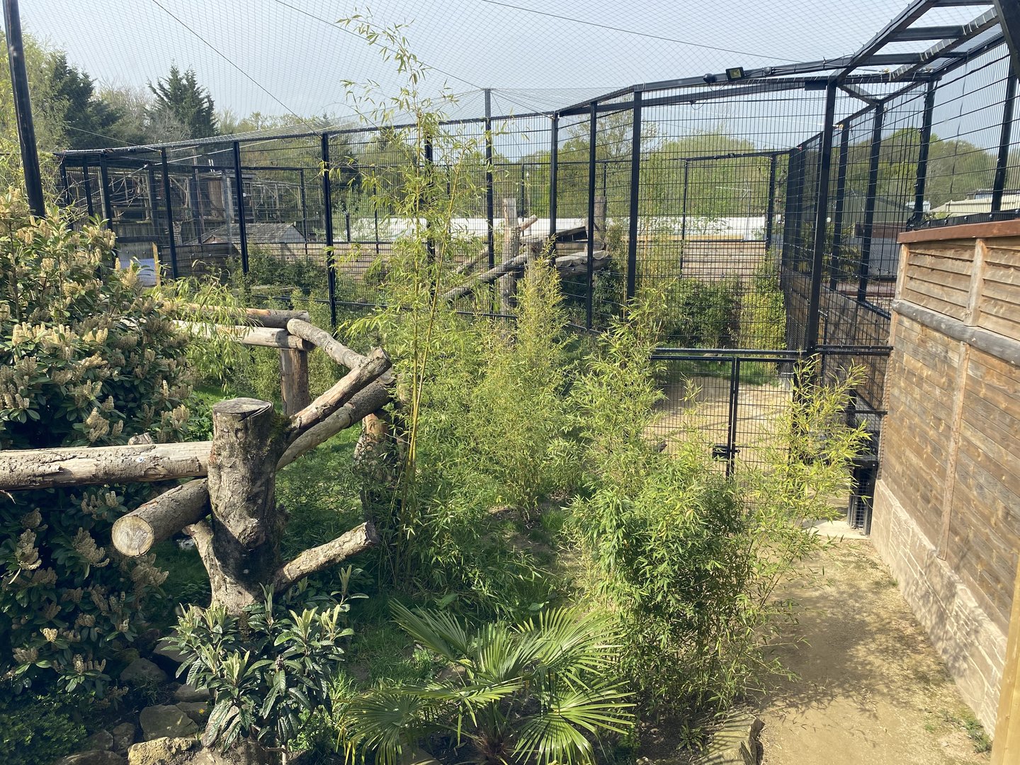 Jaguar enclosure outside spaces PWP