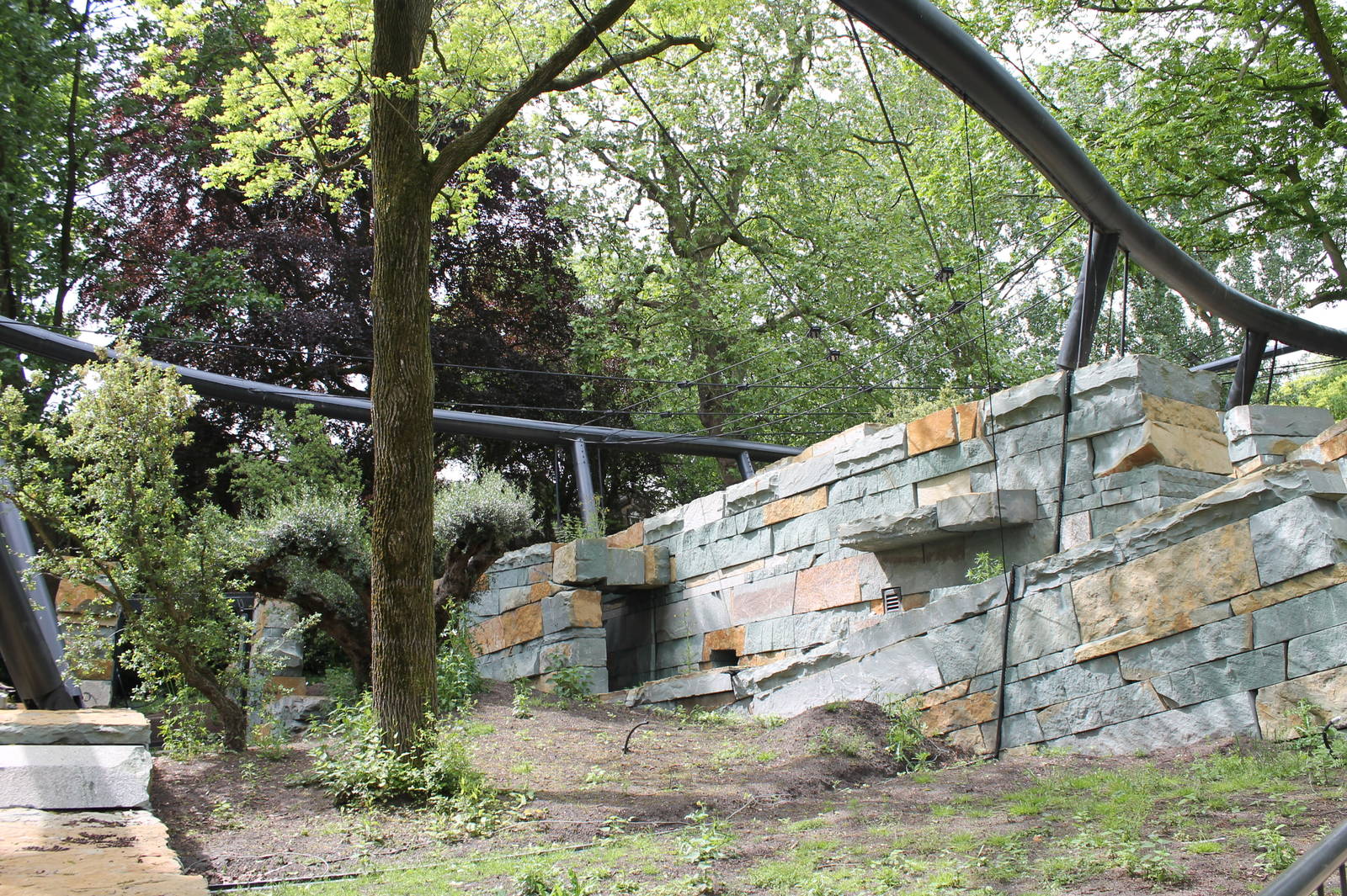 Jaguar Enclosure - Under Construction