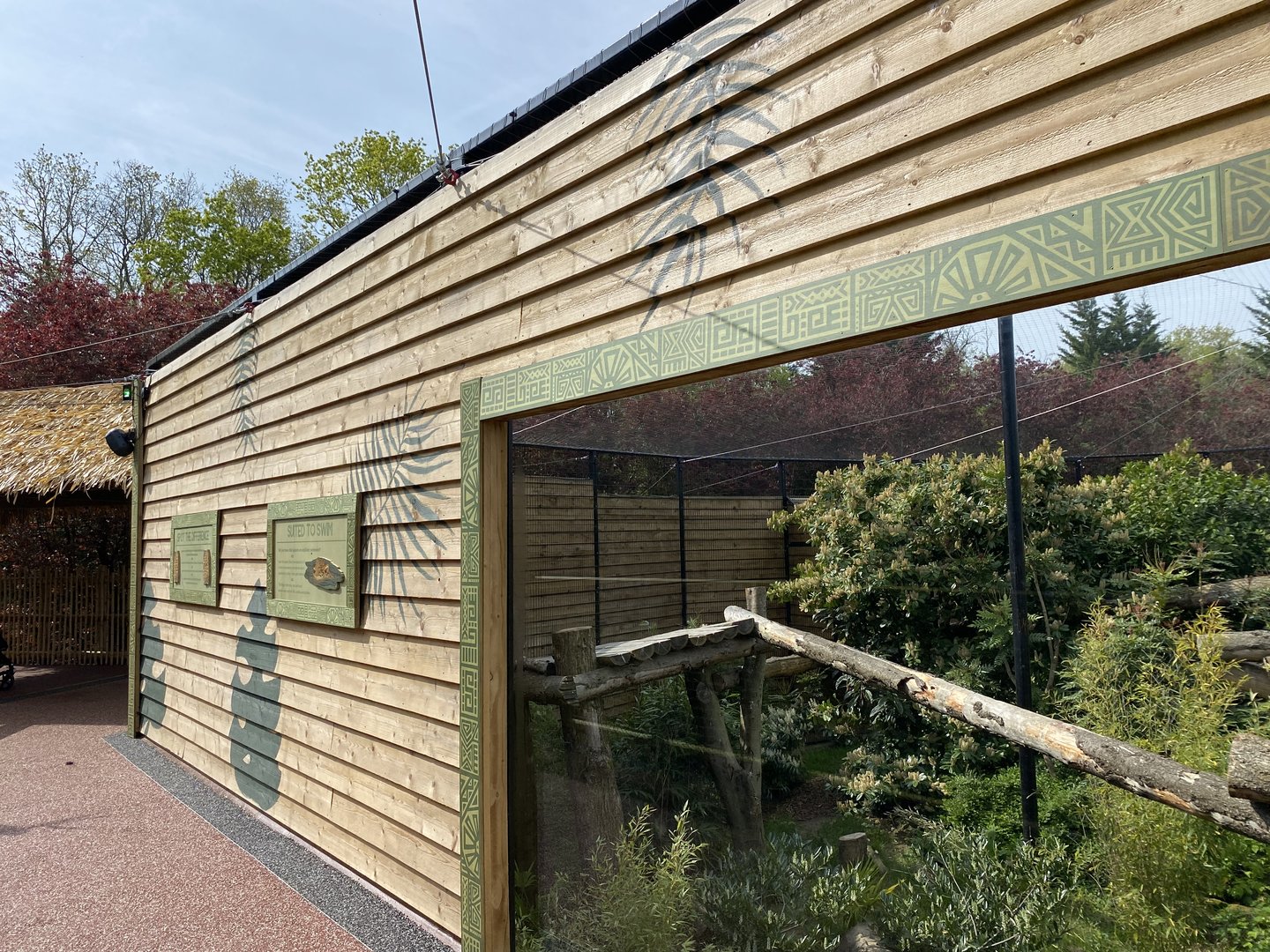 Jaguar enclosure upper viewing PWP