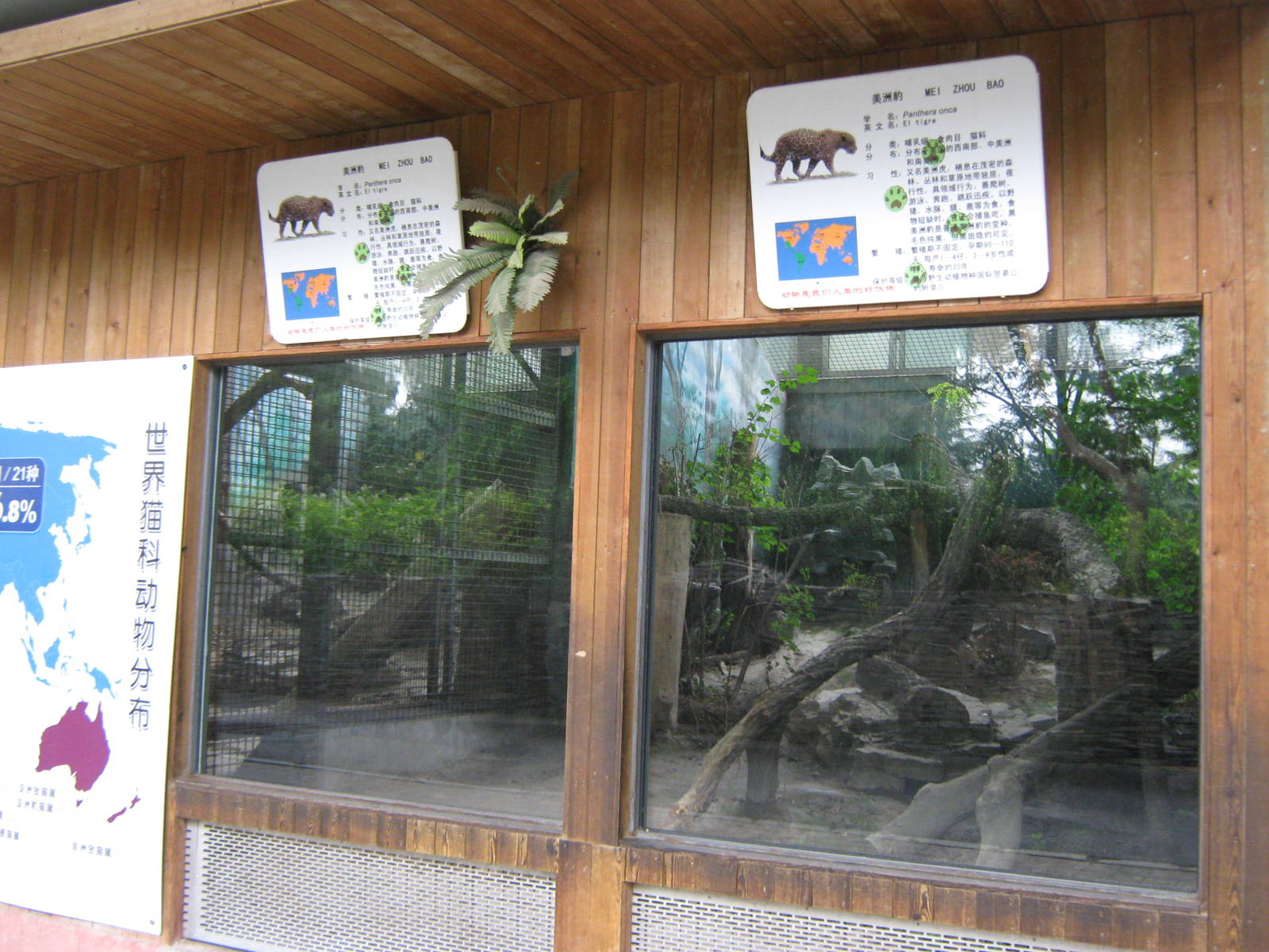 jaguar enclosure viewing windows
