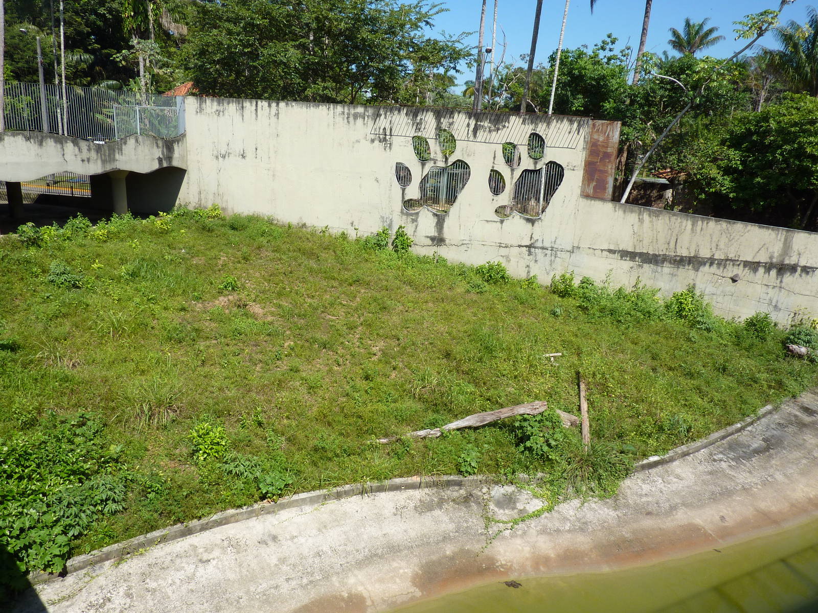 Jaguar enclosure