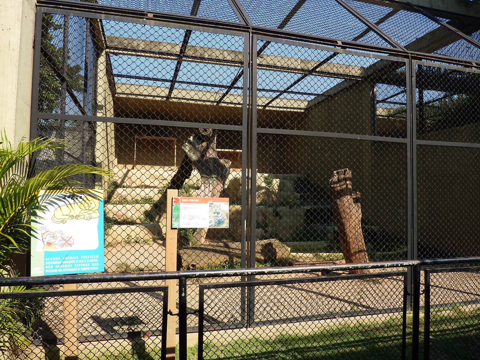 Jaguar enclosure