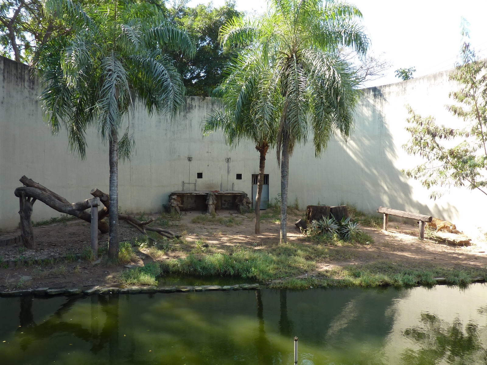 Jaguar enclosure
