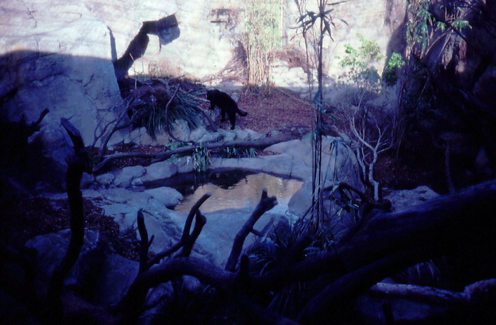Jaguar Enclosure