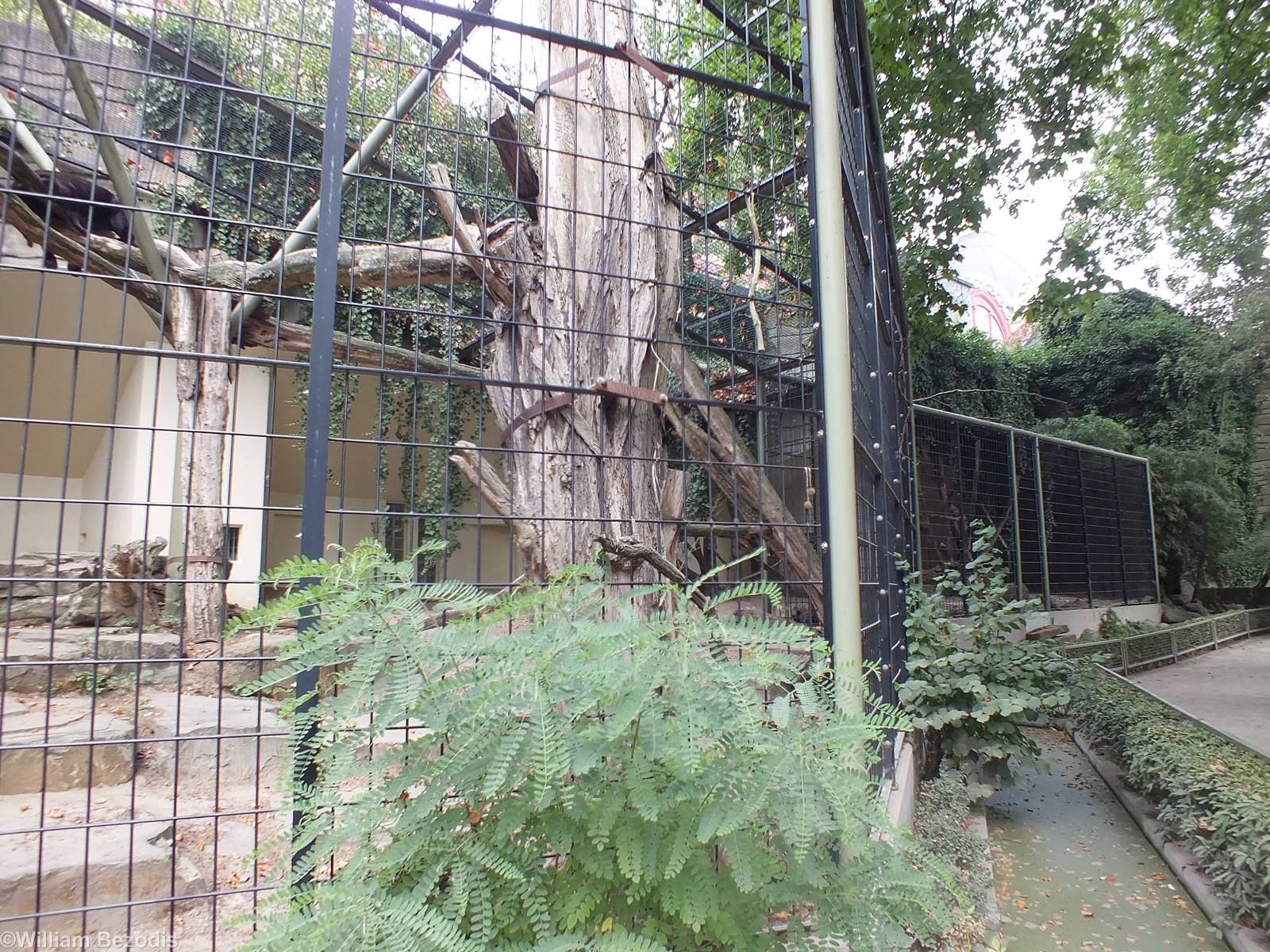 Jaguar Enclosure
