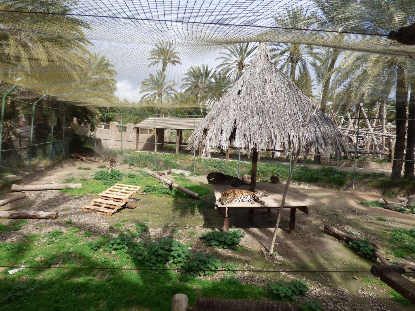 Jaguar Enclosure