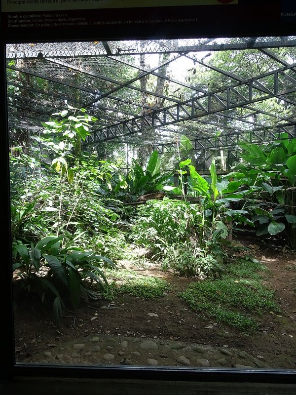 Jaguar enclosure