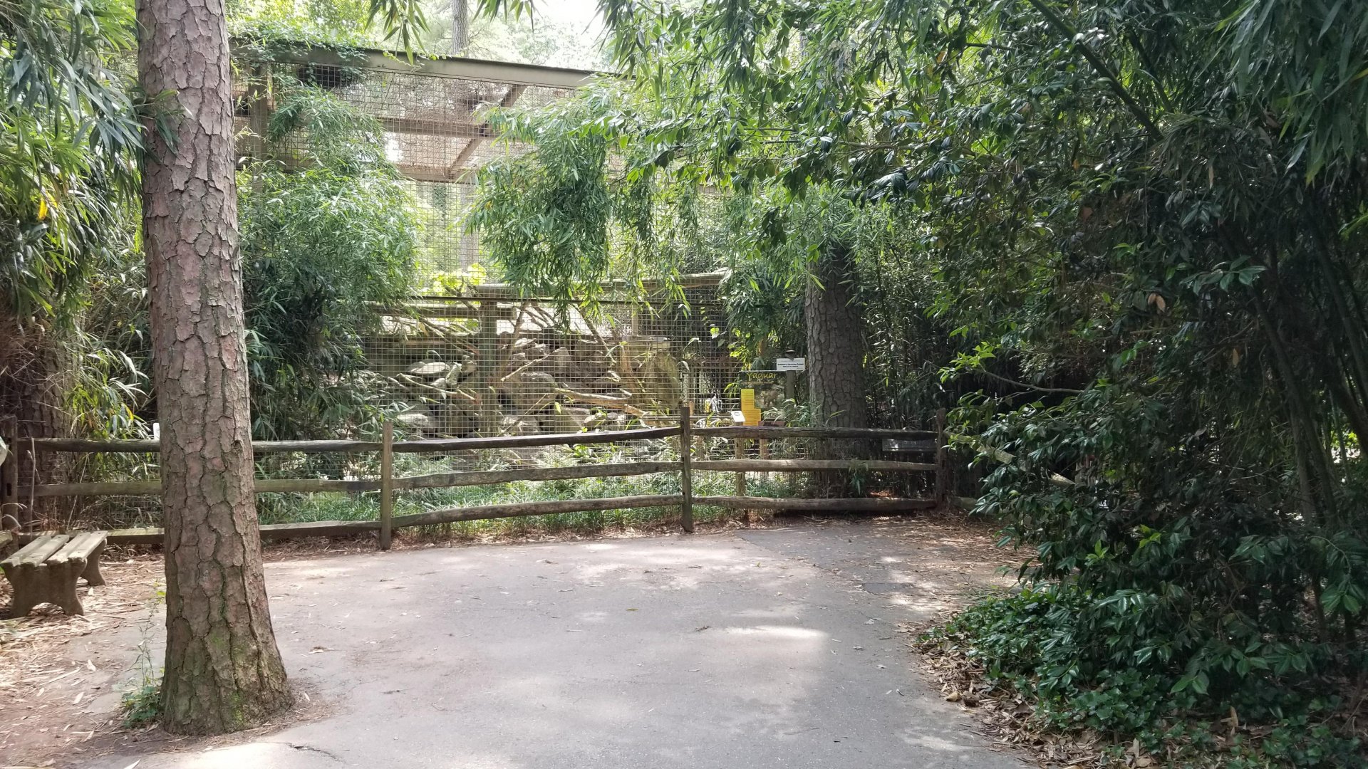 Jaguar enclosure