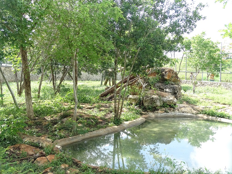 Jaguar enclosure