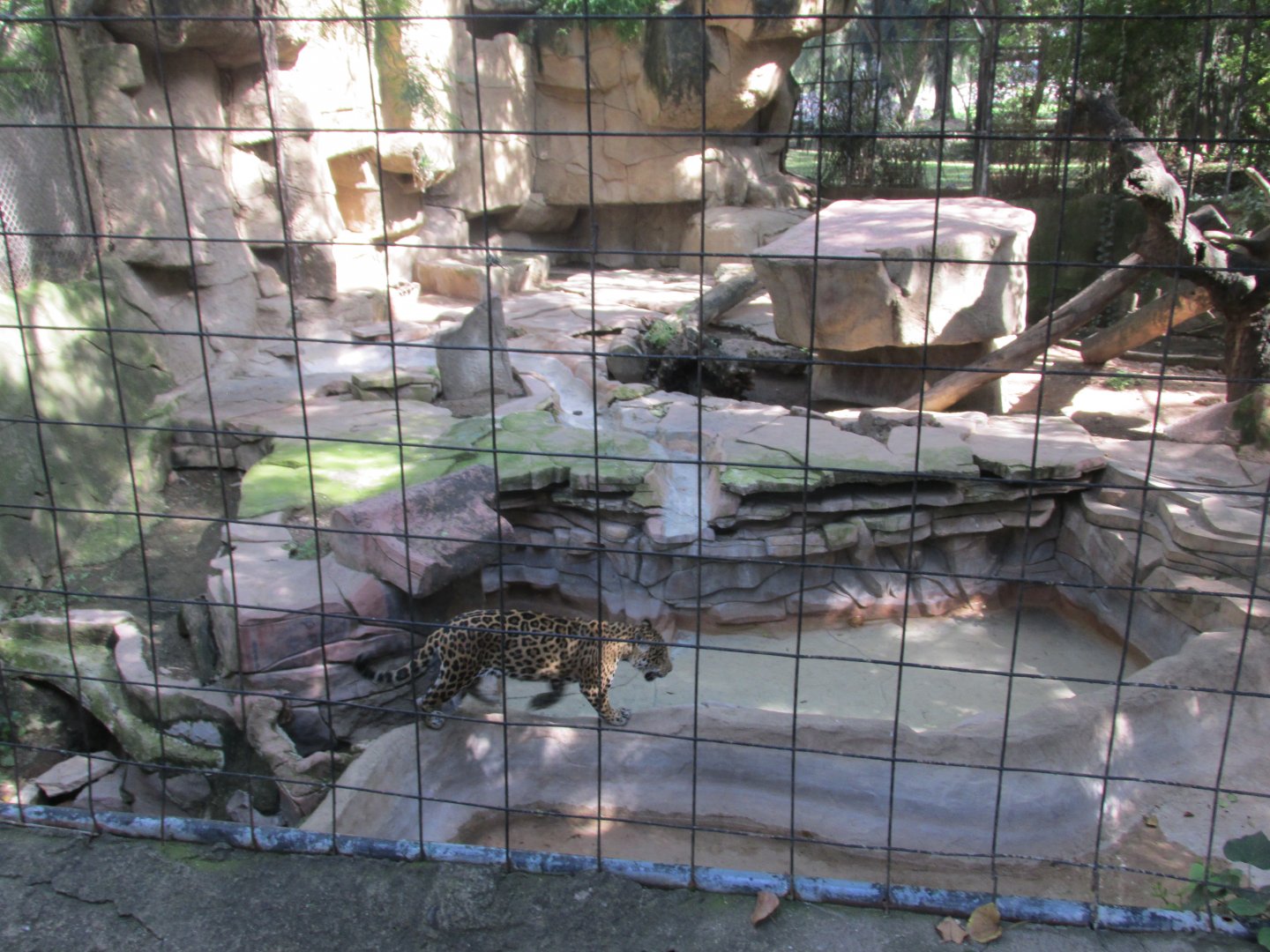 JAGUAR ENCLOSURE