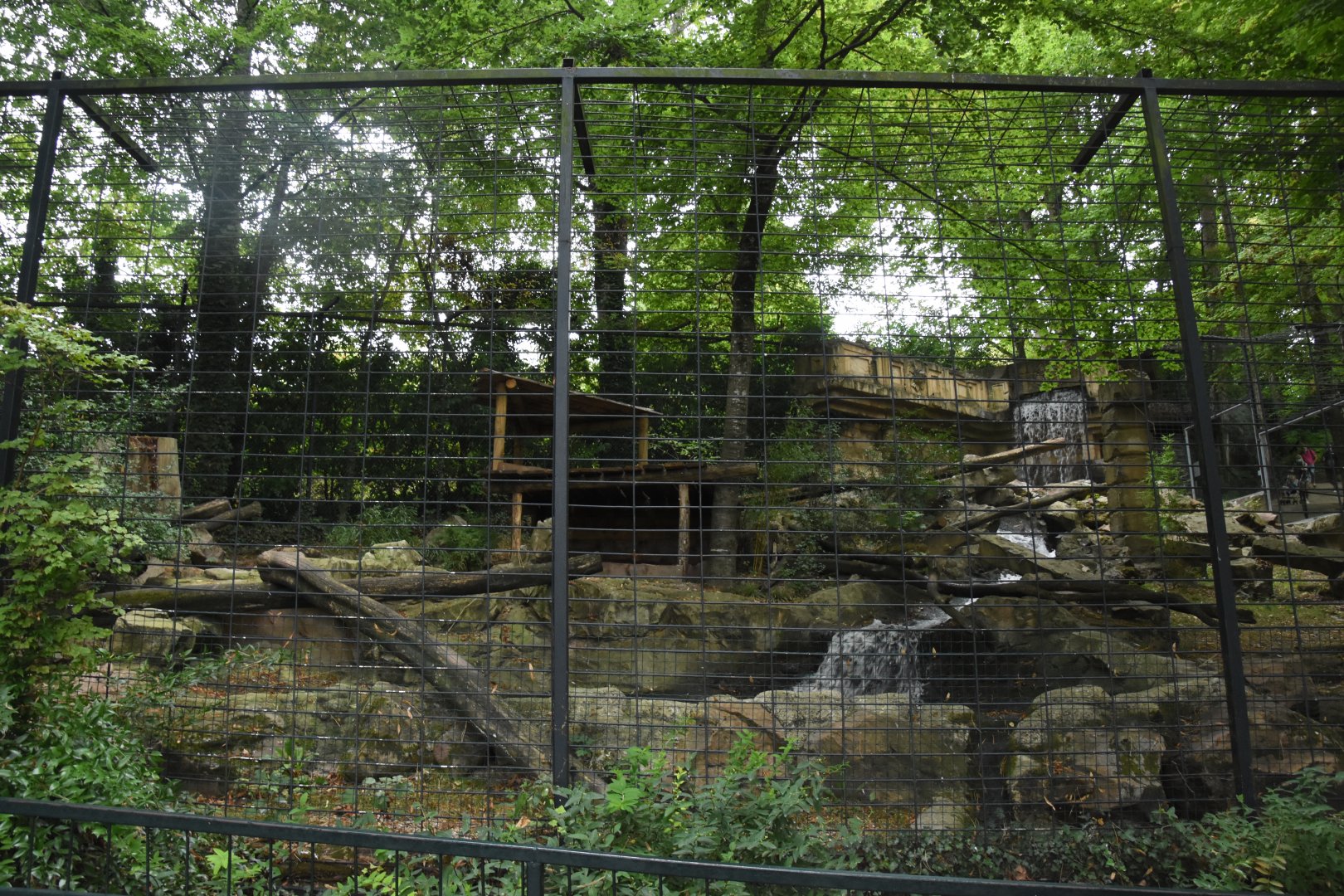 Jaguar enclosure