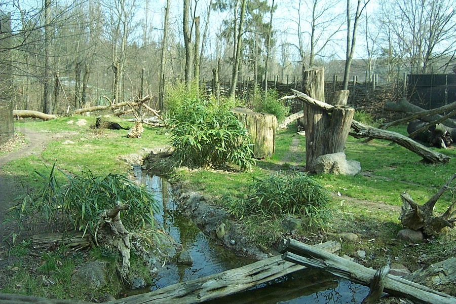 Jaguar Enclosure