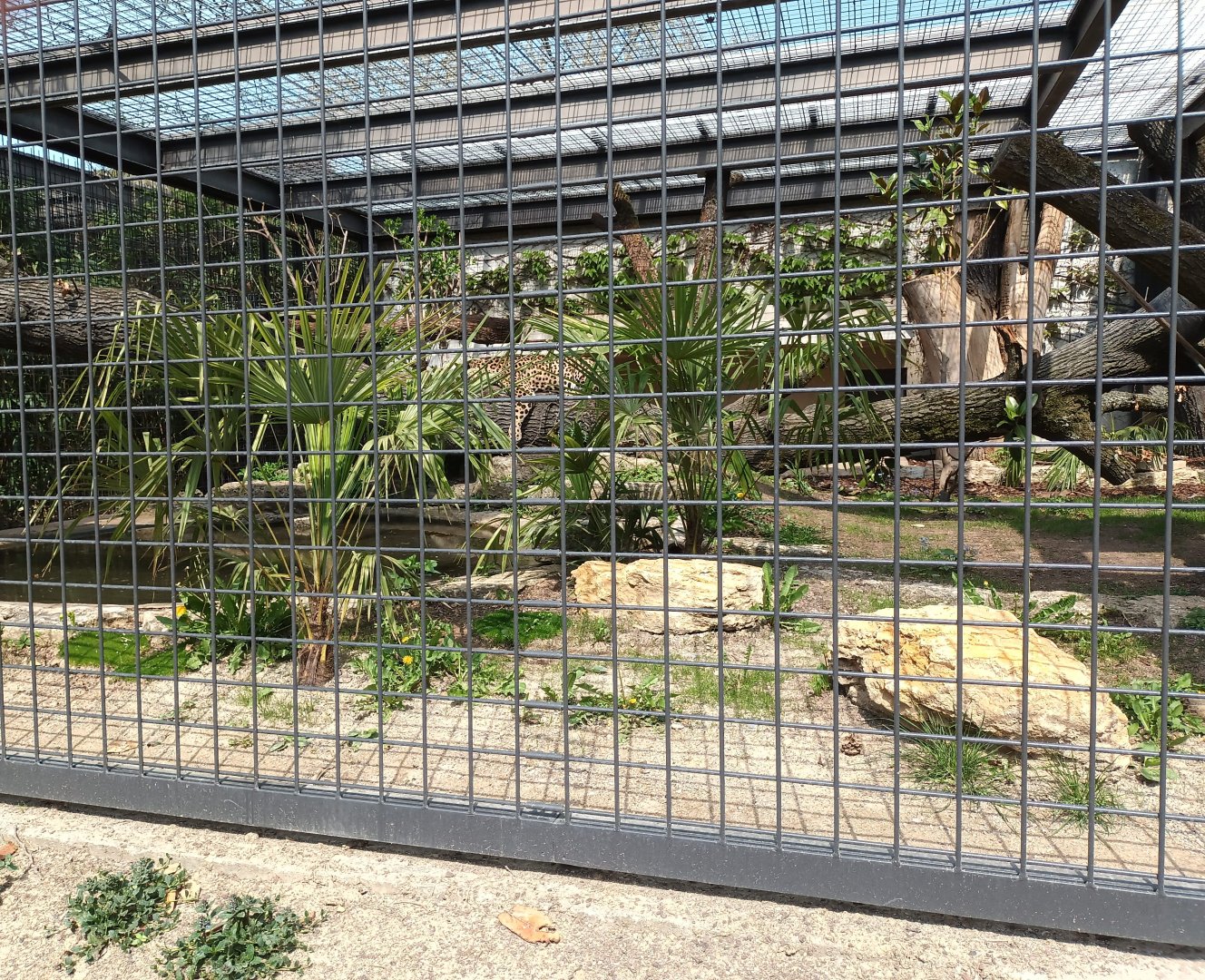 Jaguar Enclosure