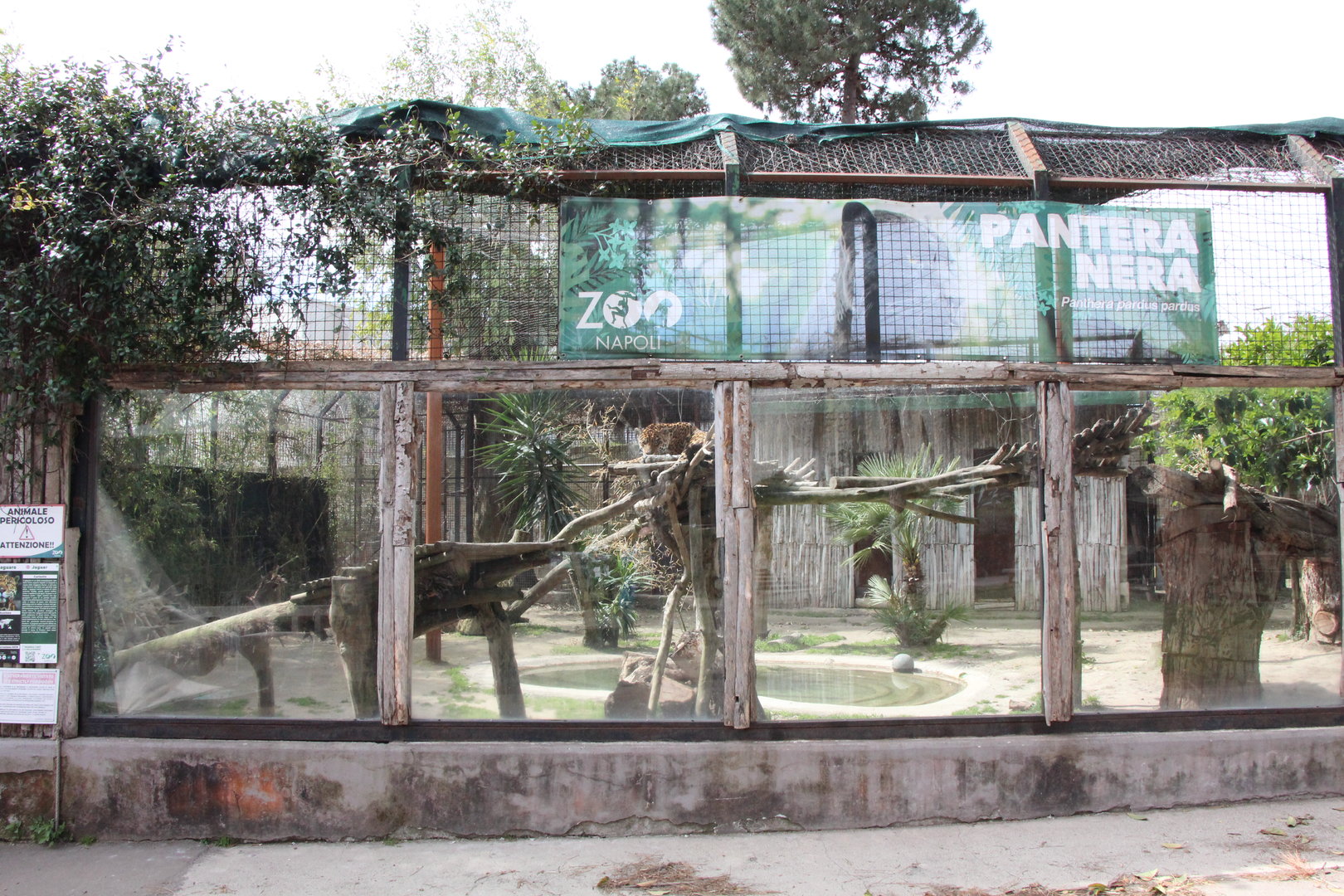 Jaguar Enclosure