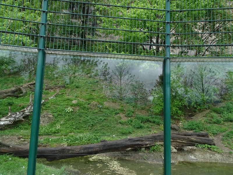 Jaguar enclosure