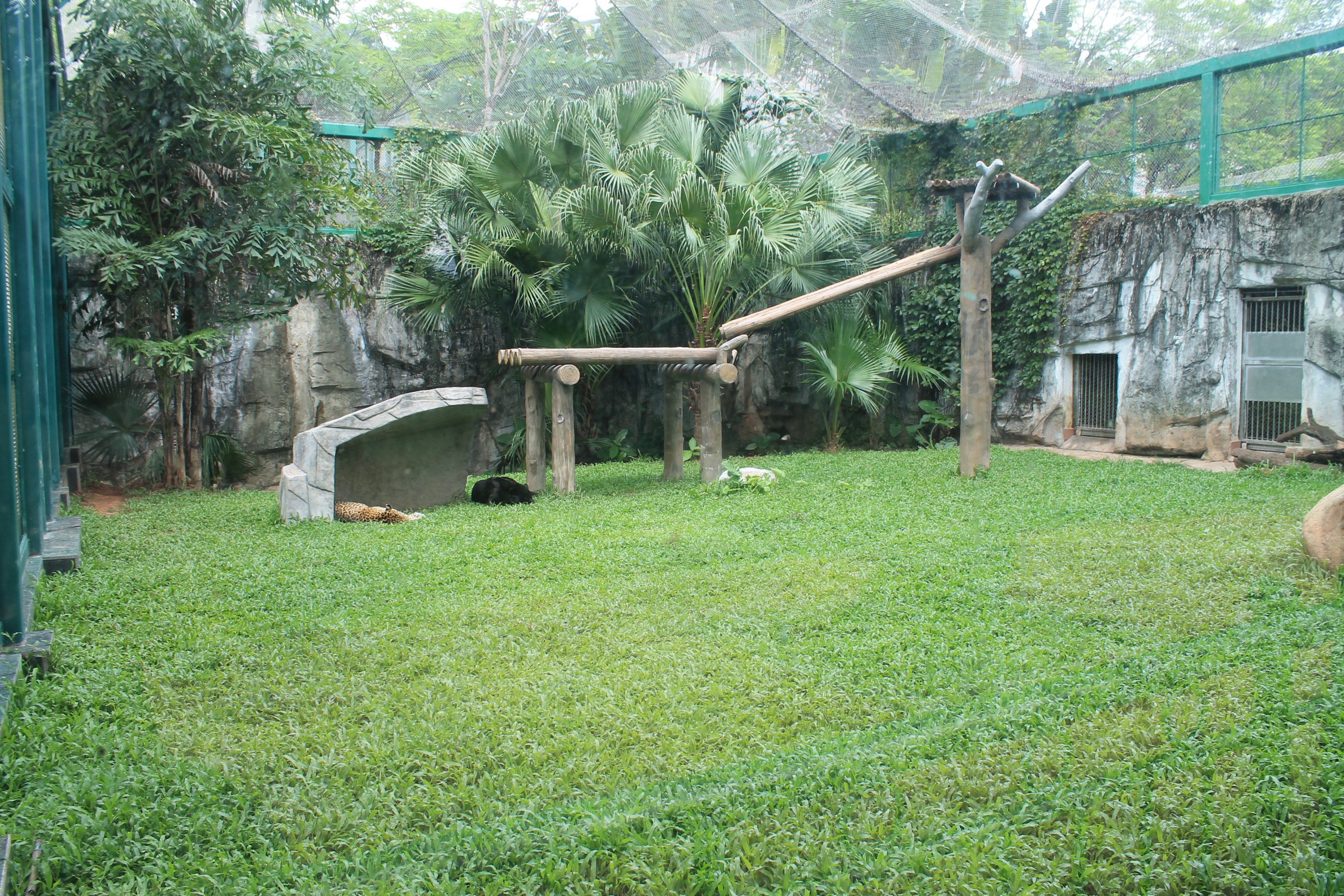 Jaguar enclosure