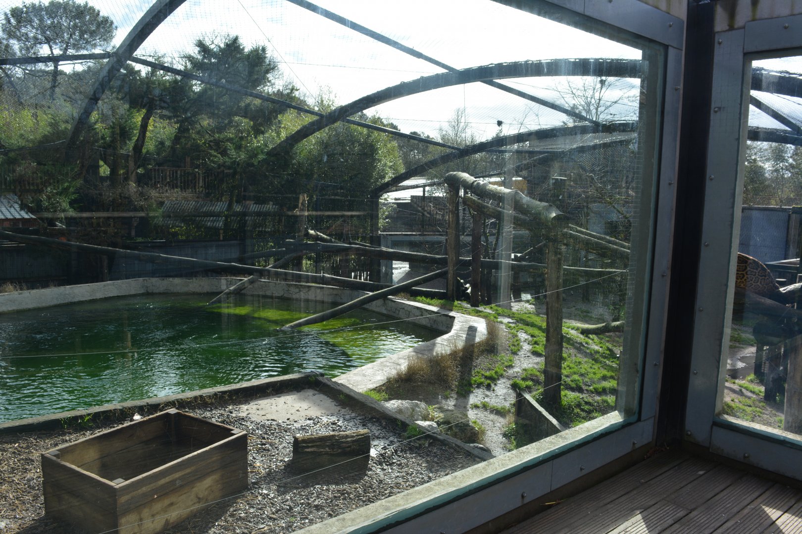 Jaguar enclosure