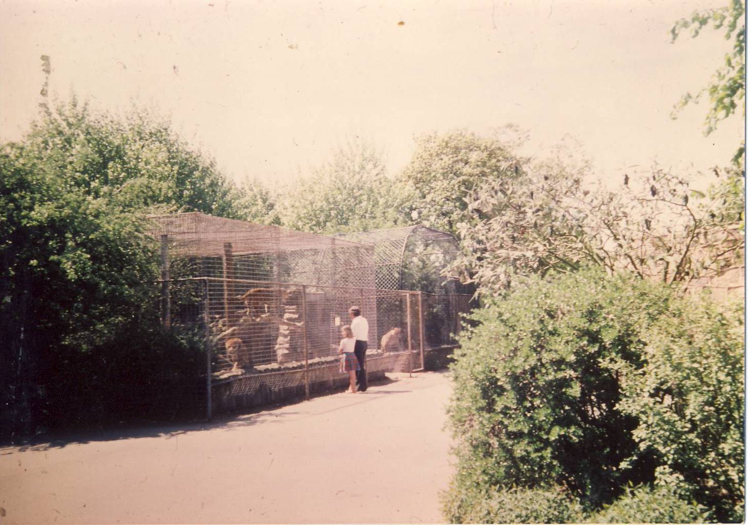 Jaguar Enclosures Chester Zoo 25 May 1978