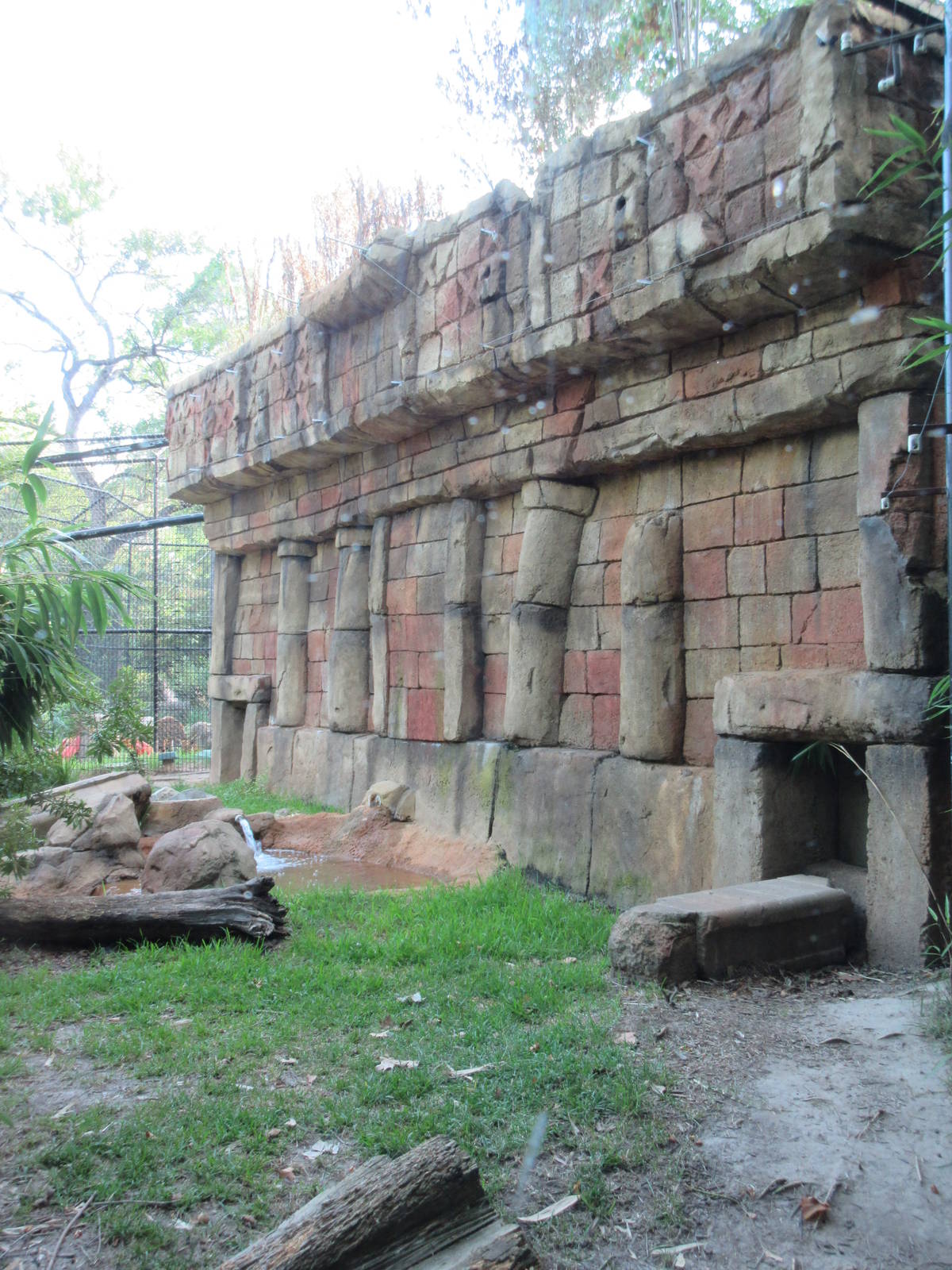 Jaguar Exhibit #1 - Rear Wall