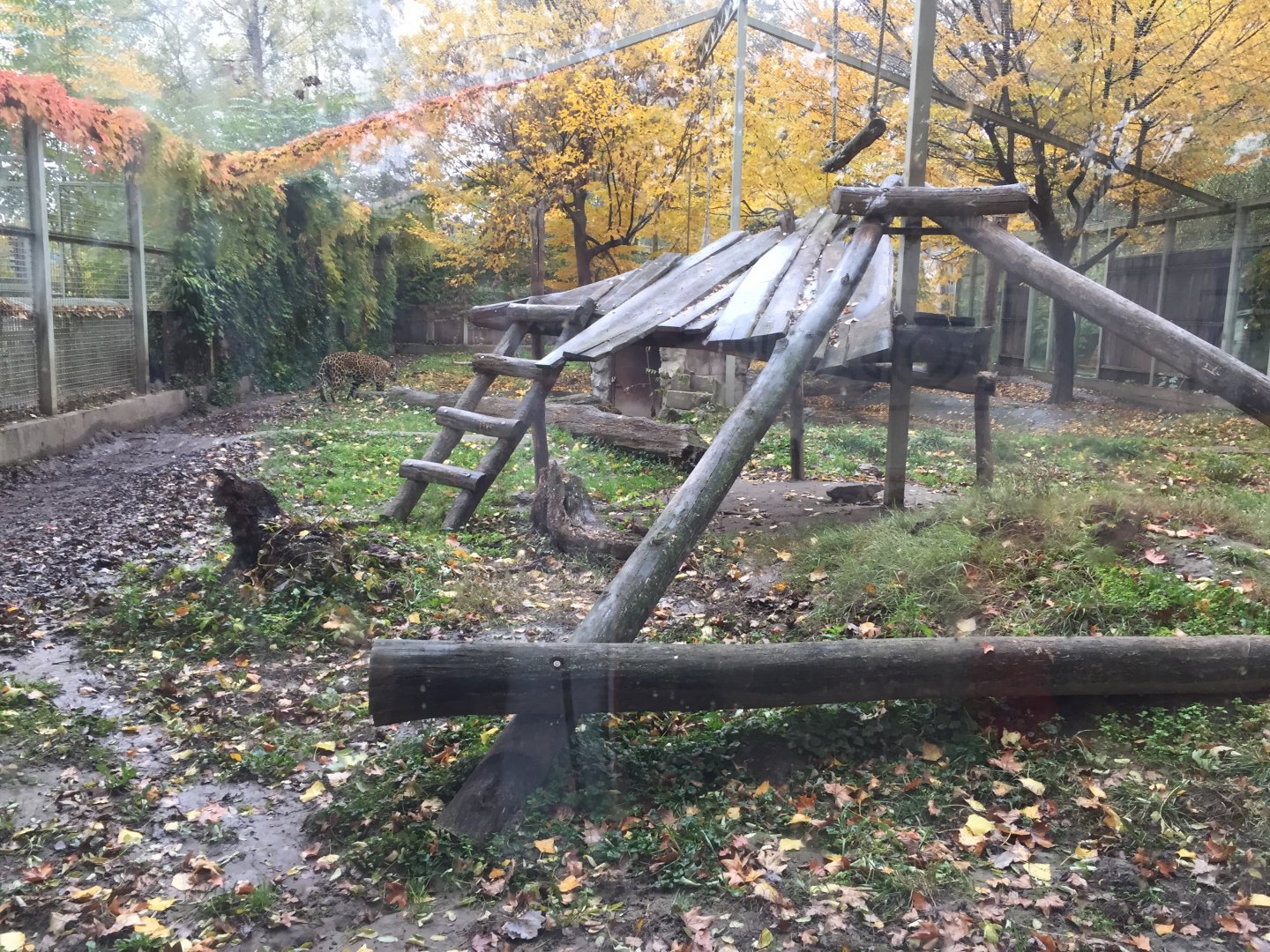 Jaguar exhibit 10.2020.