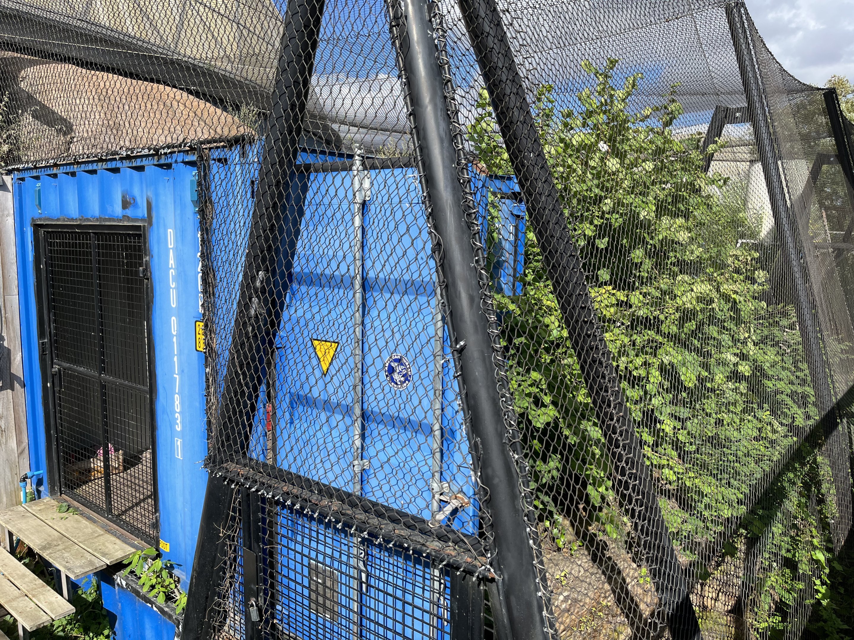 Jaguar Exhibit #2 - construction site