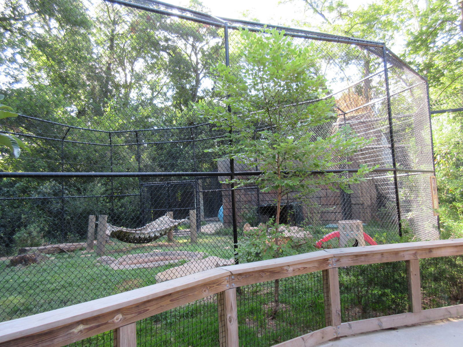 Jaguar Exhibit #2 (currently home to Malayan Tiger cubs)