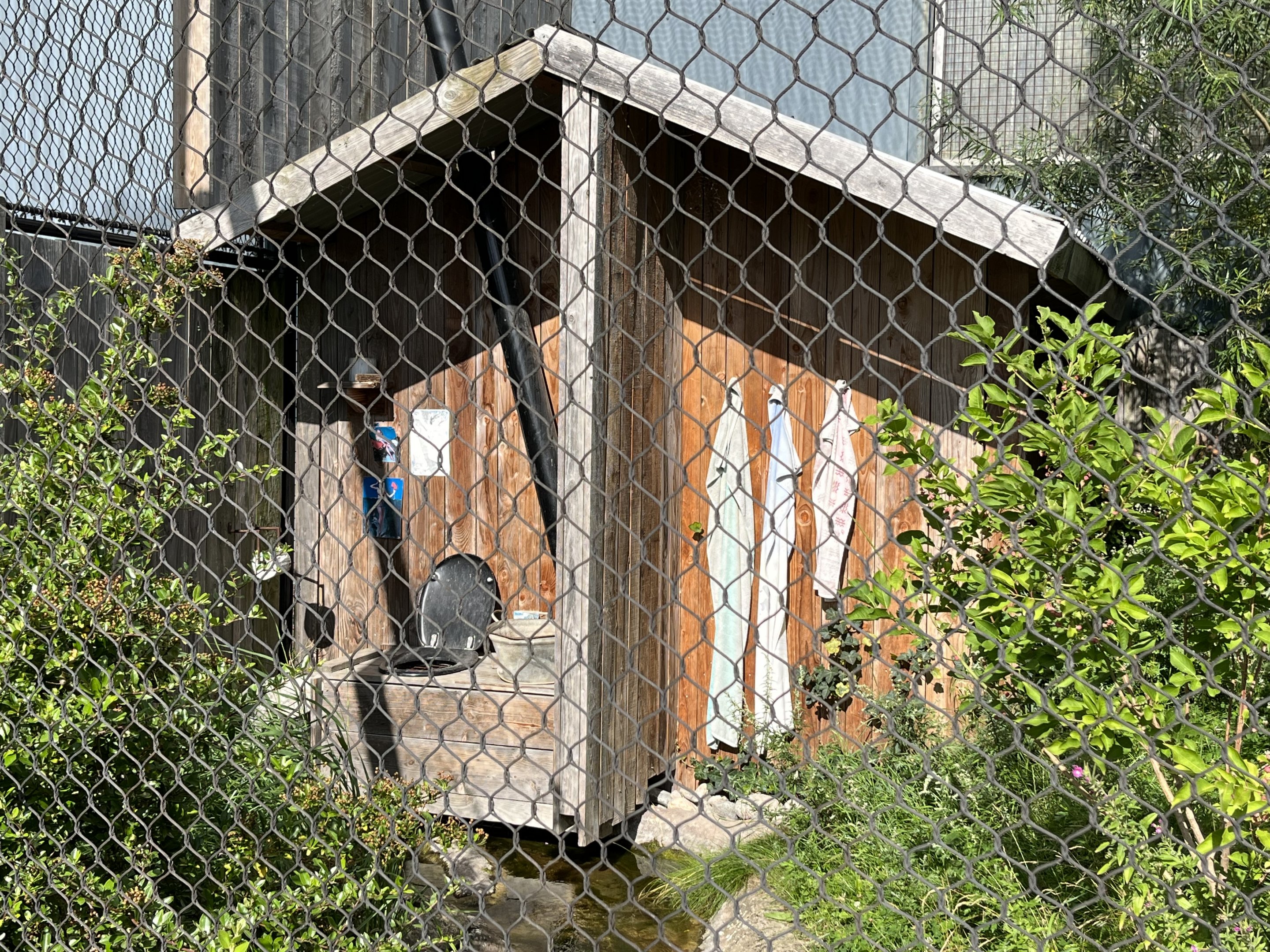 Jaguar Exhibit #2 - toilet!