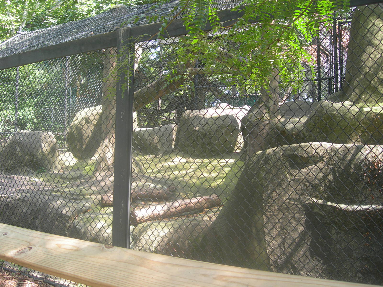 Jaguar Exhibit 3