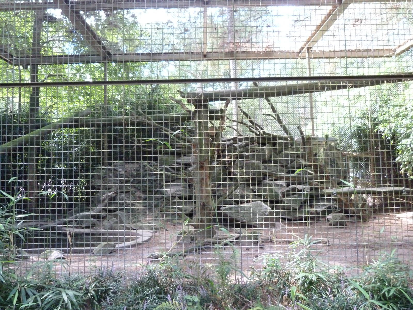 Jaguar Exhibit - 9/7/13