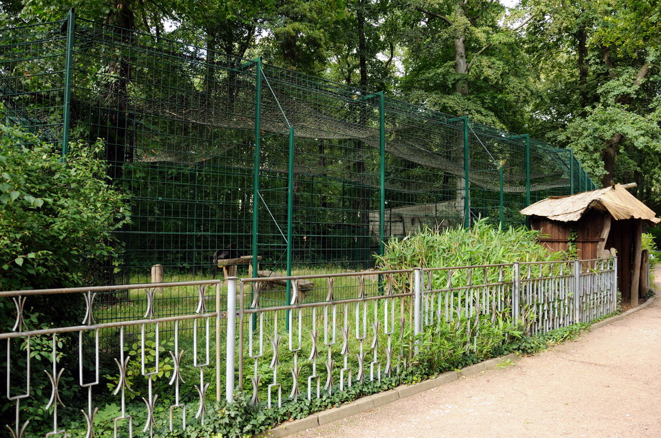 Jaguar exhibit at Dessau