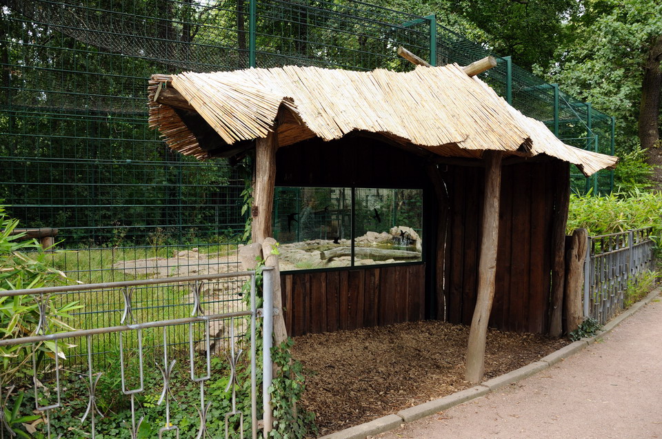 Jaguar exhibit at Dessau