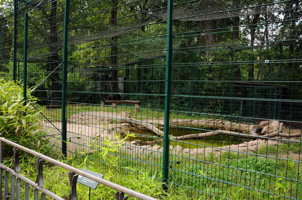 Jaguar exhibit at Dessau