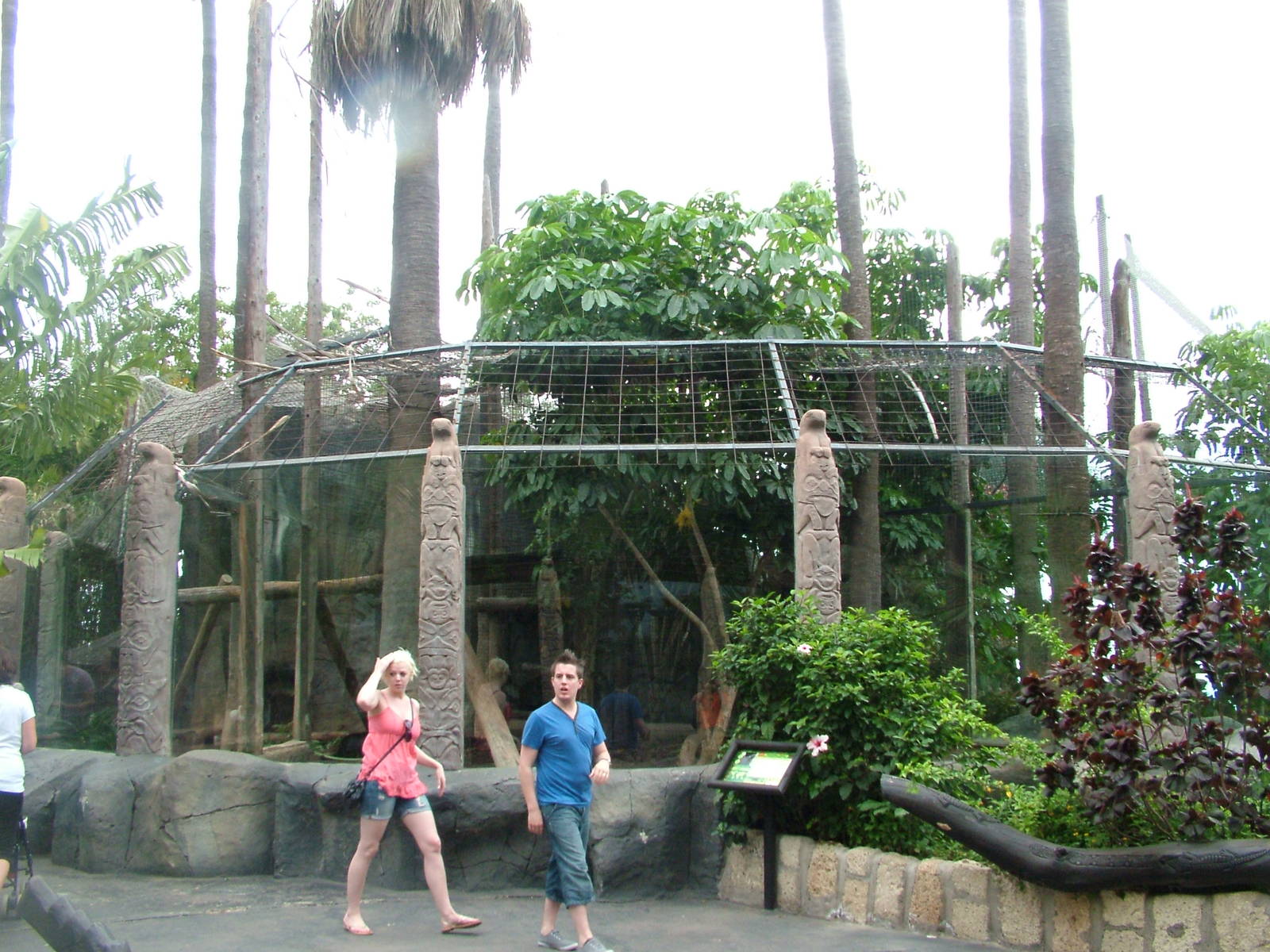 Jaguar Exhibit at Jungle Park (Las Aguilas), 13/11/10