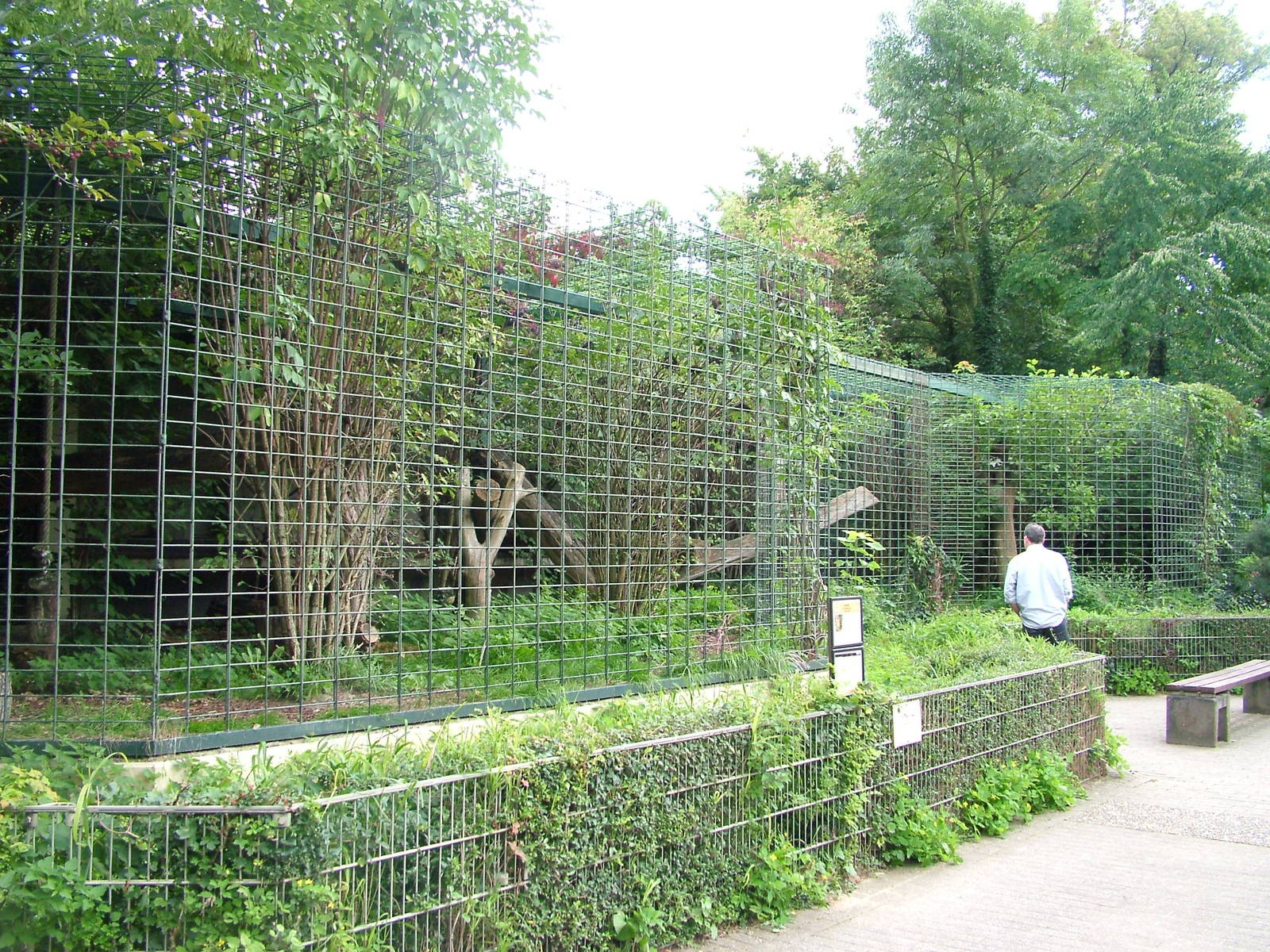 Jaguar Exhibit at Landau Zoo, 04/09/10