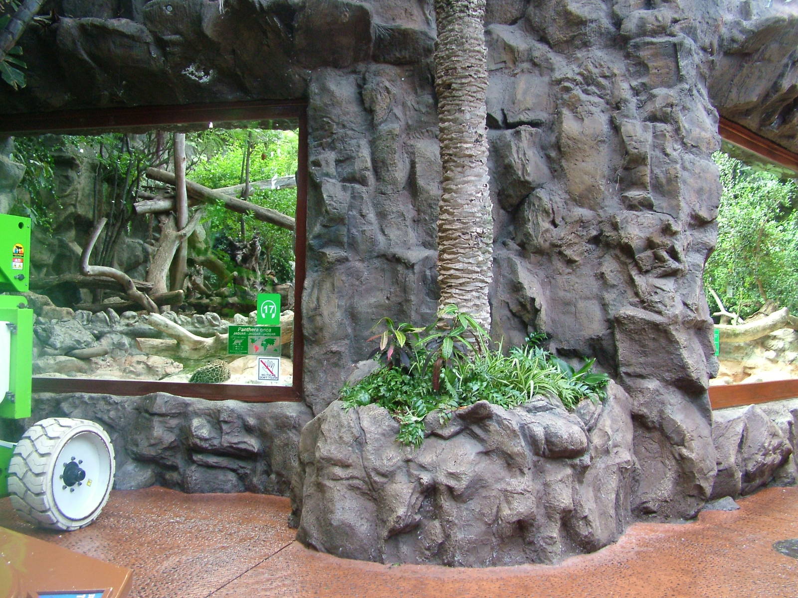 Jaguar Exhibit at Loro Parque, 08/11/10