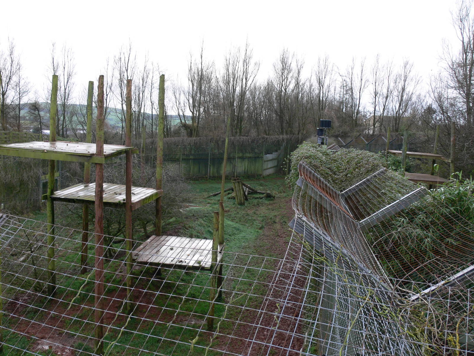 Jaguar Exhibit at South Lakes WAP, 24/11/12