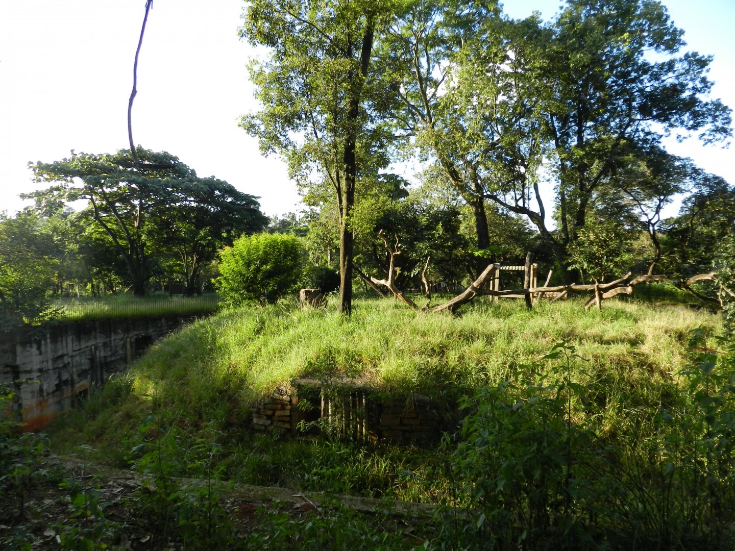 Jaguar exhibit at sunset - Belo Horizonte zoo