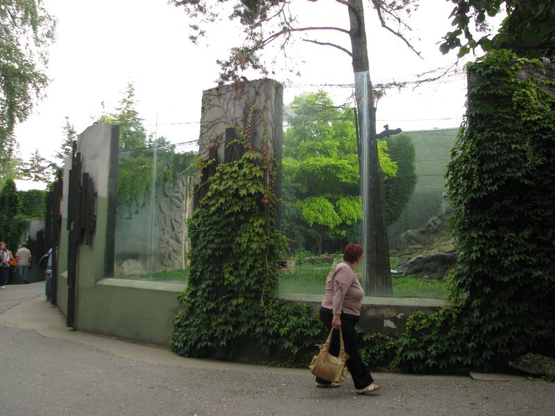 Jaguar exhibit at zoo Olomouc