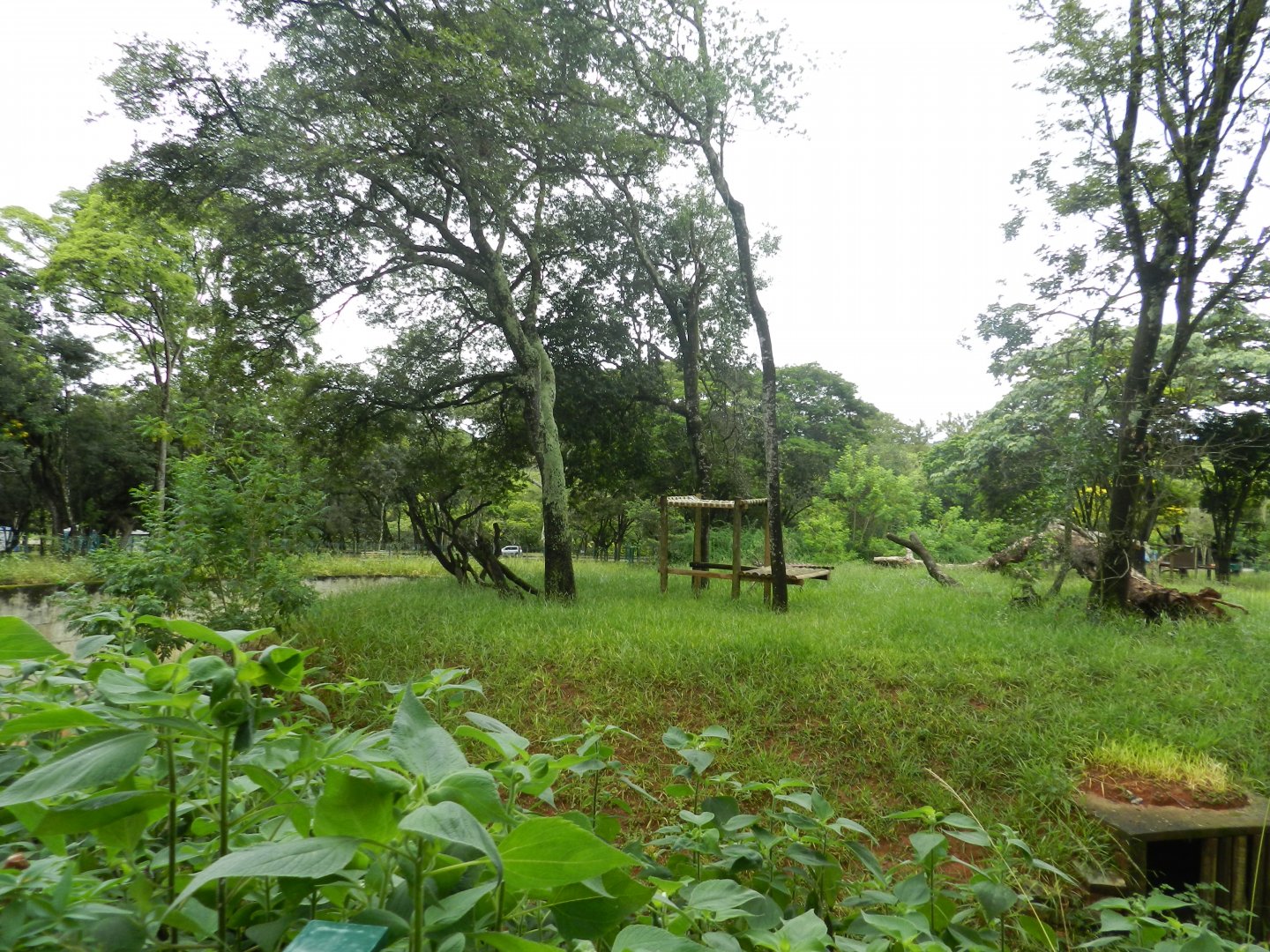 Jaguar exhibit - Belo Horizonte zoo