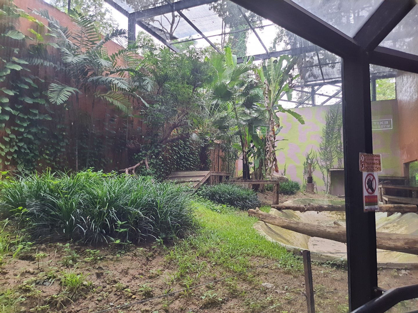 Jaguar Exhibit- Cat Complex