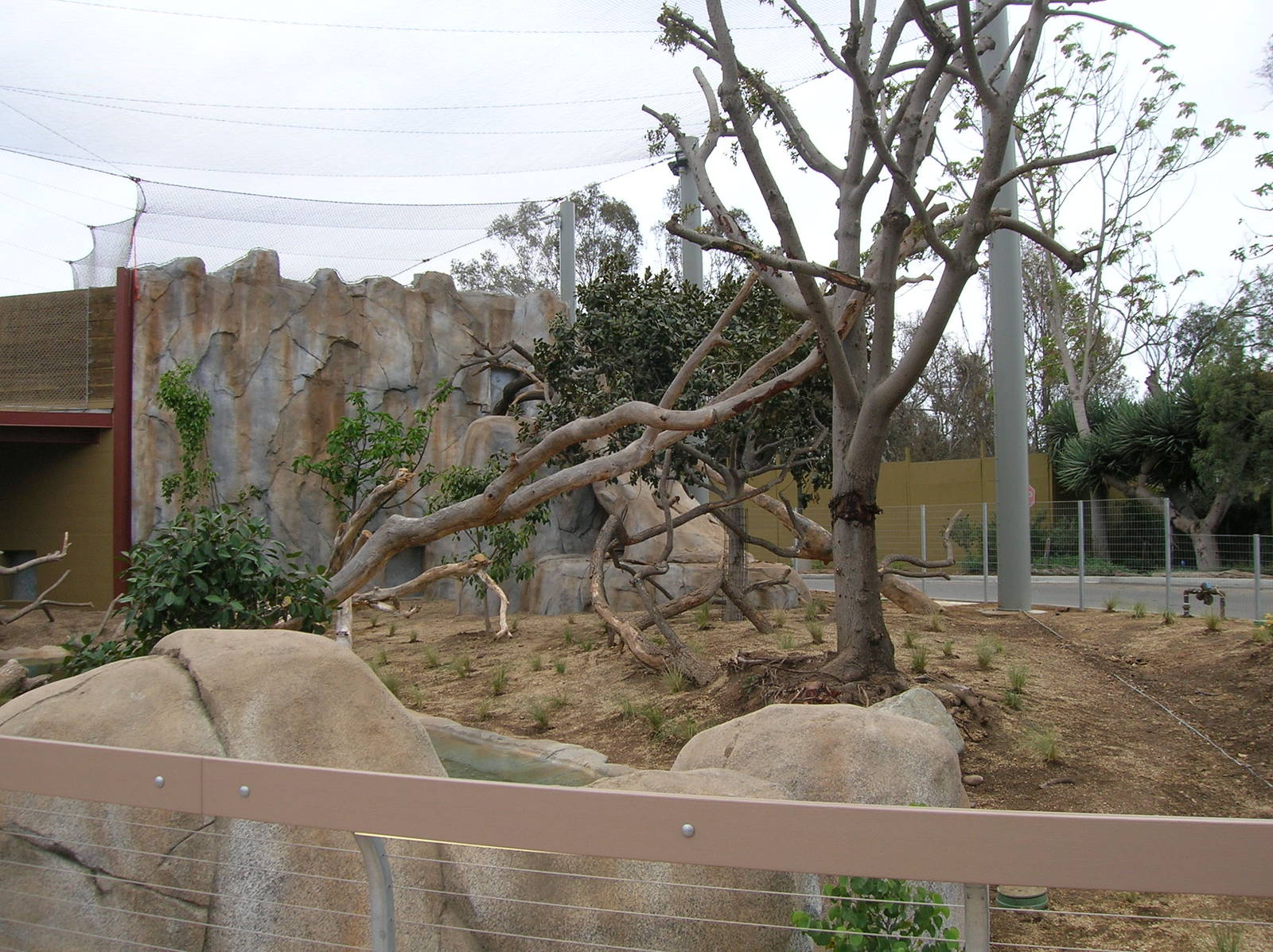 Jaguar exhibit construction - Elephant Odyssey 2009