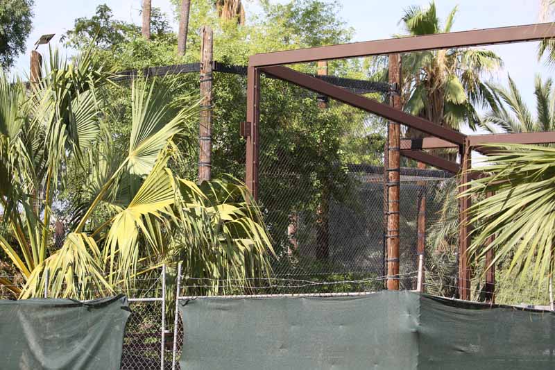 jaguar exhibit construction