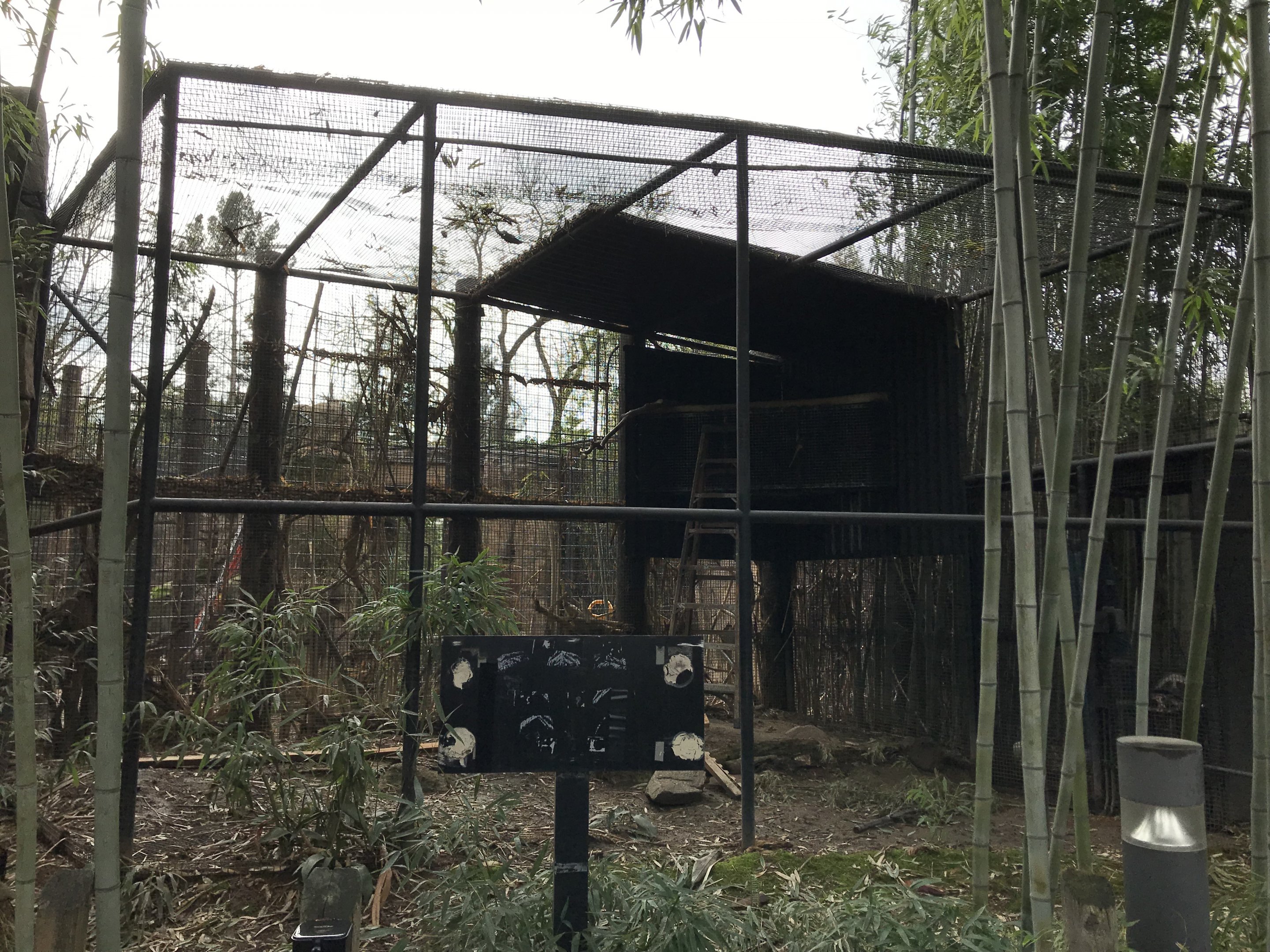 Jaguar Exhibit Construction