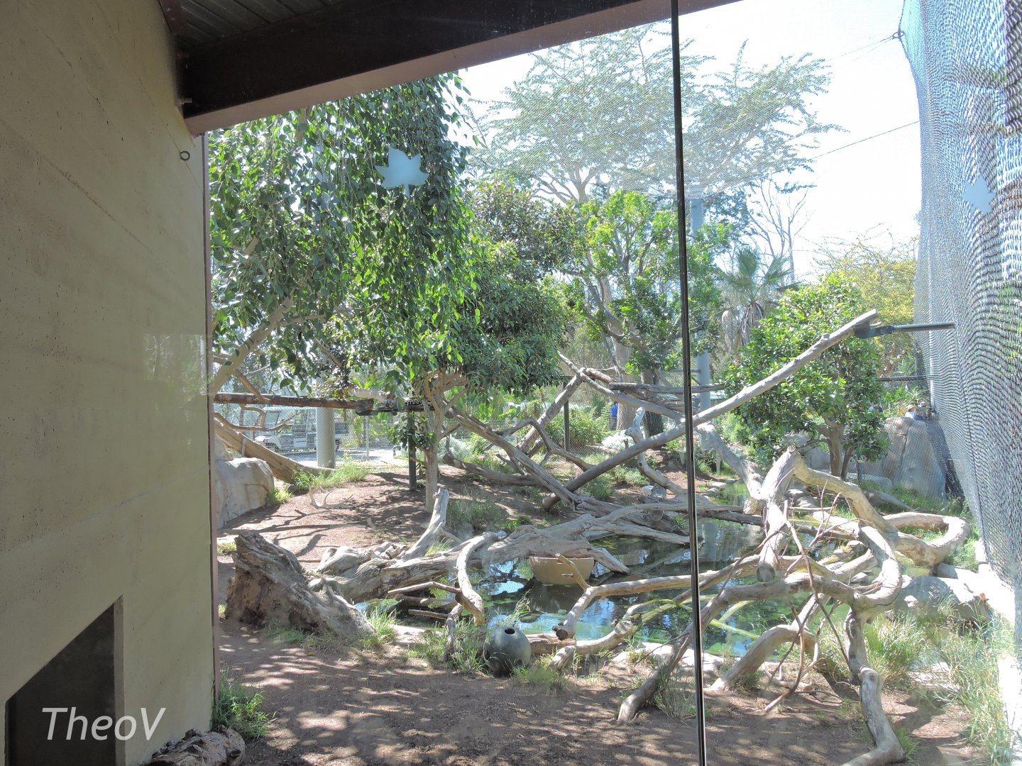 Jaguar exhibit - Elephant Odyssey [2015]