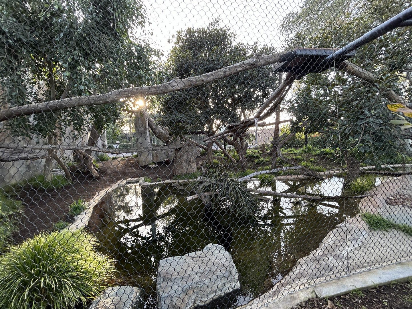 Jaguar Exhibit - Elephant Odyssey