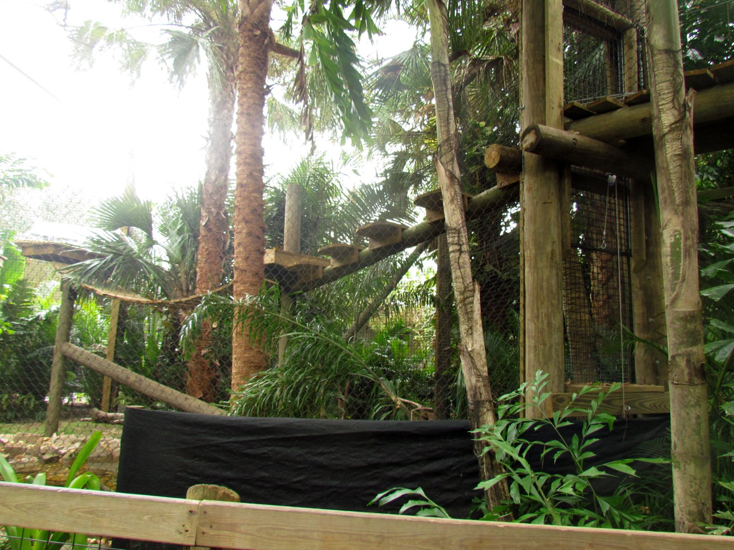 Jaguar Exhibit Expansion