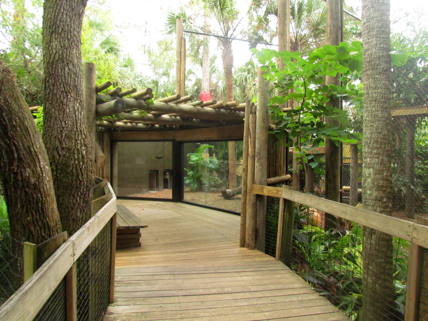 Jaguar Exhibit Expansion