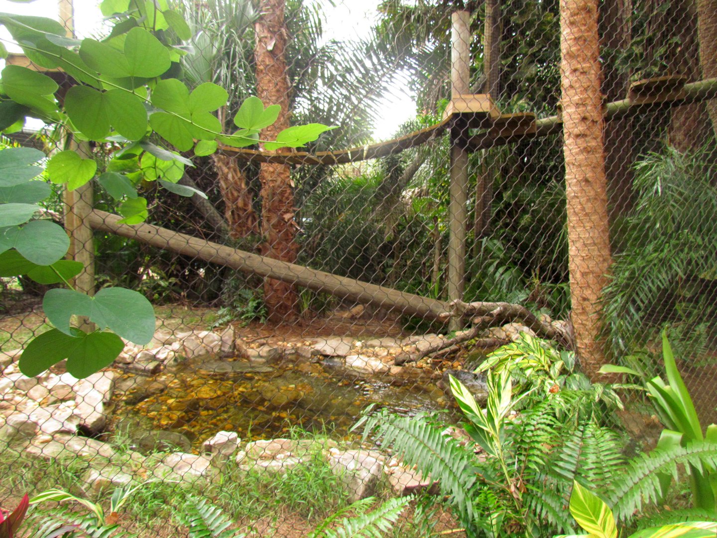 Jaguar Exhibit Expansion
